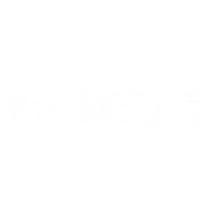 100% secure payments
